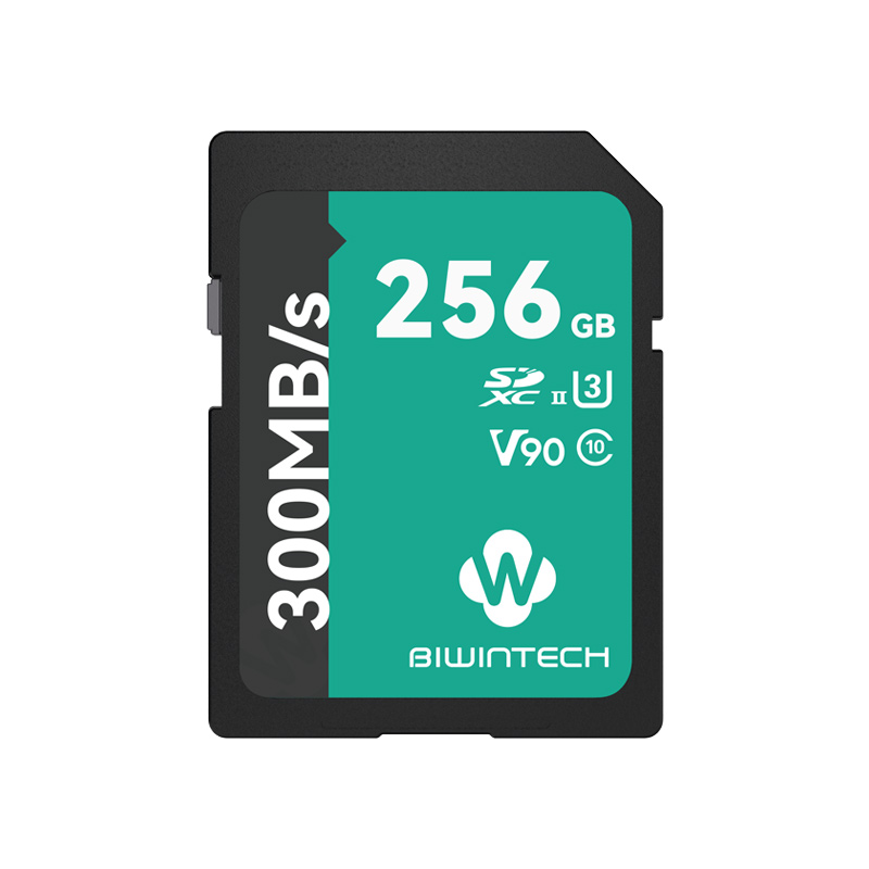 Biwintech Storage Official SSD and DRAM Memory