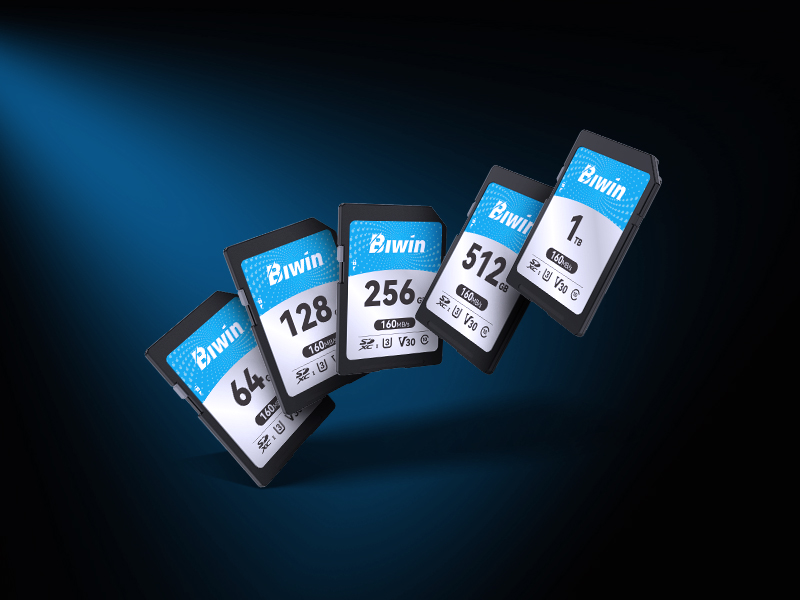 5-biwin-sd160-memory-card-available-in-various-capacities-from-64gb-to-1tb