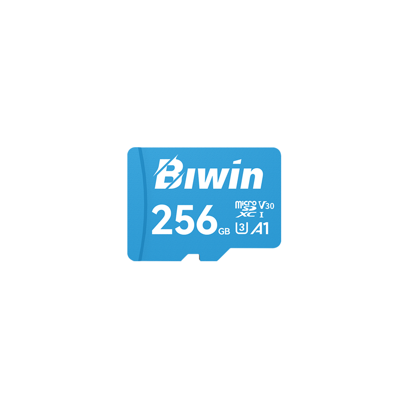 Biwin MS100 microSD card